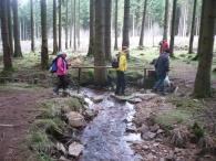 im Hochmoor
