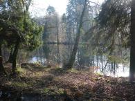 Weiher bei Abentheuer
