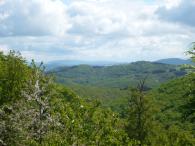 Blick in die Pfalz