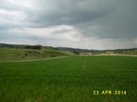 hinter dem Schönewald ins Hambachtal